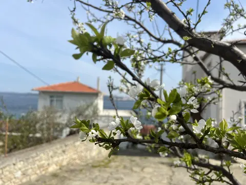 Deniz Apart Hotel Kilitbahir Köyü Slider 5