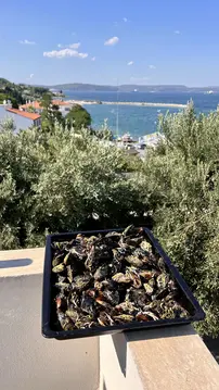 Deniz Apart Hotel Kilitbahir Köyü Slider 3